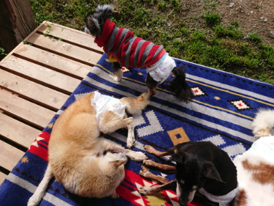 f:id:roukenhome-ann:20190503125330j:plain