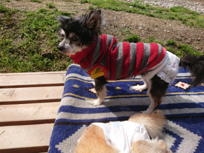 f:id:roukenhome-ann:20190503125458j:plain