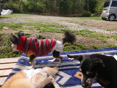 f:id:roukenhome-ann:20190503125514j:plain