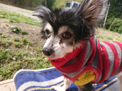 f:id:roukenhome-ann:20190503125519j:plain