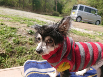 f:id:roukenhome-ann:20190503125524j:plain
