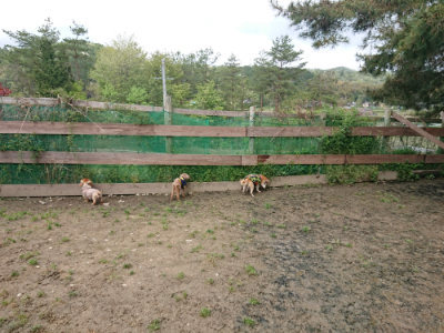f:id:roukenhome-ann:20190503125546j:plain