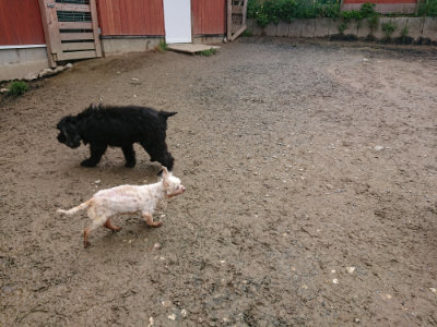 f:id:roukenhome-ann:20190503125557j:plain