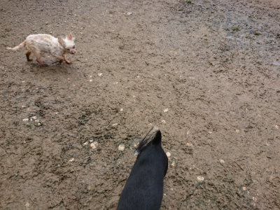 f:id:roukenhome-ann:20190503125609j:plain