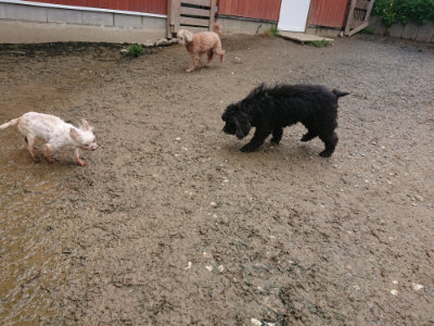 f:id:roukenhome-ann:20190503125626j:plain