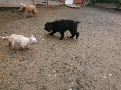 f:id:roukenhome-ann:20190503125636j:plain