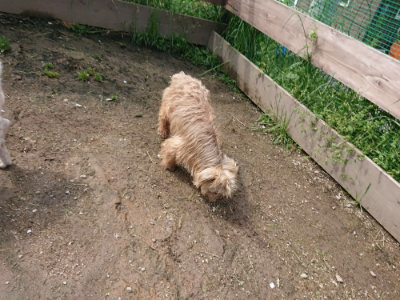 f:id:roukenhome-ann:20190503125658j:plain