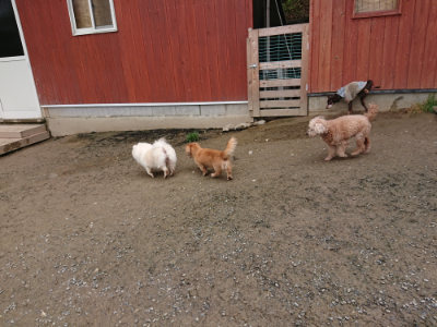f:id:roukenhome-ann:20190503125730j:plain