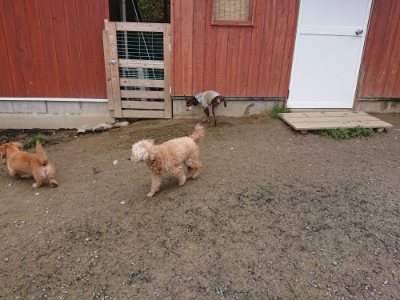 f:id:roukenhome-ann:20190503125808j:plain