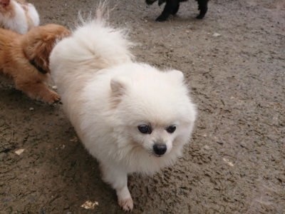 f:id:roukenhome-ann:20190503125827j:plain