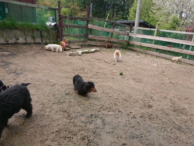 f:id:roukenhome-ann:20190503125838j:plain