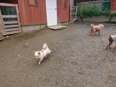 f:id:roukenhome-ann:20190503125844j:plain