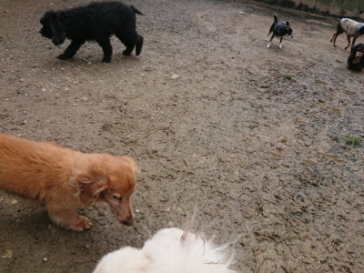 f:id:roukenhome-ann:20190503125848j:plain
