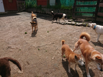 f:id:roukenhome-ann:20190503130517j:plain
