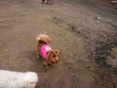 f:id:roukenhome-ann:20190503130522j:plain