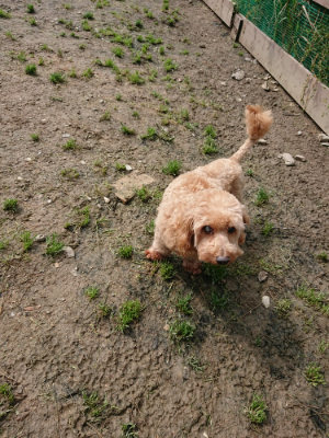 f:id:roukenhome-ann:20190503130527j:plain