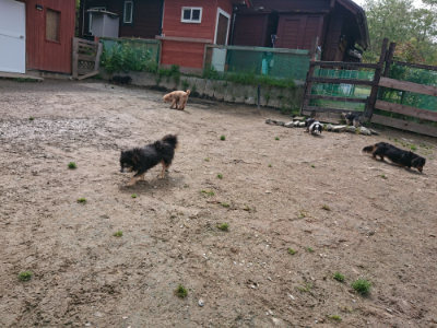 f:id:roukenhome-ann:20190503130541j:plain