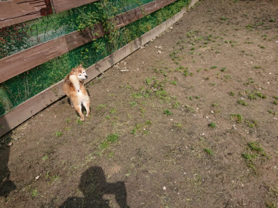f:id:roukenhome-ann:20190503130605j:plain