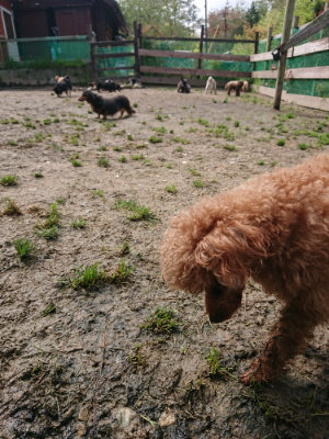 f:id:roukenhome-ann:20190503130617j:plain
