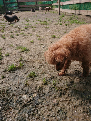f:id:roukenhome-ann:20190503130627j:plain
