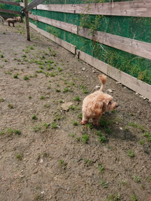 f:id:roukenhome-ann:20190503130632j:plain