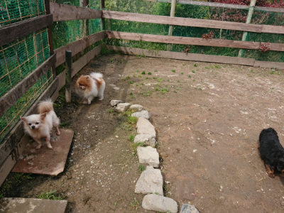 f:id:roukenhome-ann:20190503130708j:plain