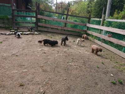 f:id:roukenhome-ann:20190503130730j:plain