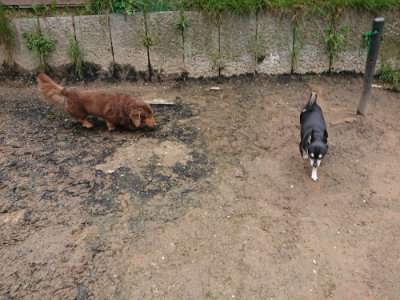 f:id:roukenhome-ann:20190503130742j:plain