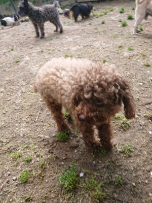 f:id:roukenhome-ann:20190503130807j:plain
