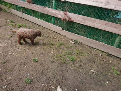 f:id:roukenhome-ann:20190503130847j:plain