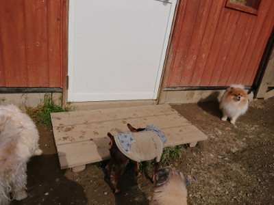 f:id:roukenhome-ann:20190504130555j:plain