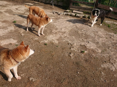 f:id:roukenhome-ann:20190504130700j:plain