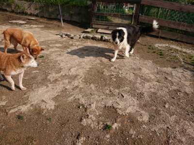 f:id:roukenhome-ann:20190504130727j:plain