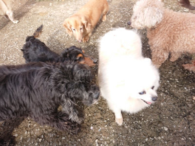 f:id:roukenhome-ann:20190504130757j:plain