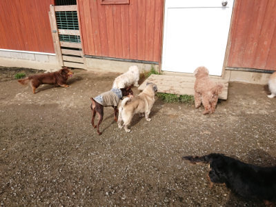 f:id:roukenhome-ann:20190504130810j:plain