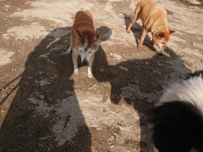 f:id:roukenhome-ann:20190504130845j:plain