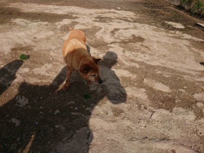 f:id:roukenhome-ann:20190504130857j:plain