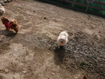 f:id:roukenhome-ann:20190504130903j:plain