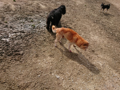 f:id:roukenhome-ann:20190504130909j:plain
