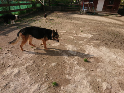 f:id:roukenhome-ann:20190504130914j:plain