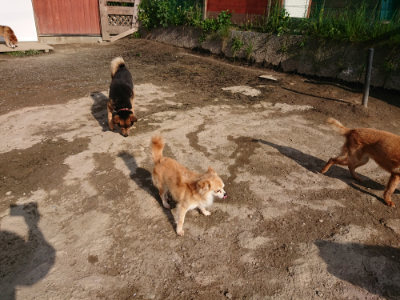 f:id:roukenhome-ann:20190504130926j:plain