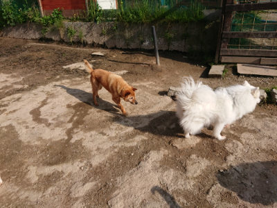 f:id:roukenhome-ann:20190504130942j:plain