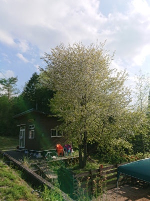 f:id:roukenhome-ann:20190504130948j:plain