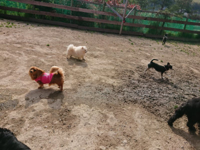 f:id:roukenhome-ann:20190504130954j:plain
