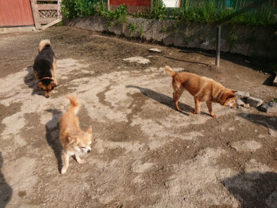 f:id:roukenhome-ann:20190504131000j:plain