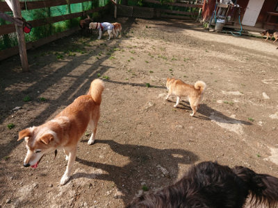 f:id:roukenhome-ann:20190504131006j:plain