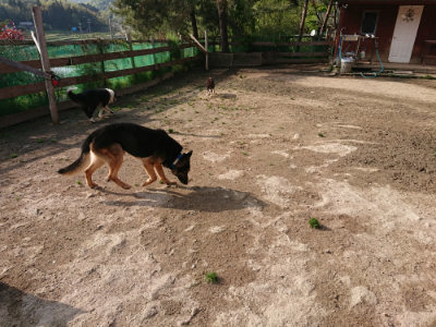 f:id:roukenhome-ann:20190504131012j:plain