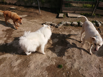 f:id:roukenhome-ann:20190504131033j:plain