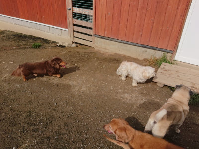 f:id:roukenhome-ann:20190504131108j:plain