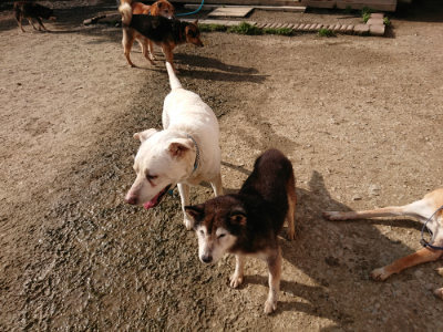 f:id:roukenhome-ann:20190504131114j:plain